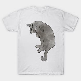 Grey Tabby Cat T-Shirt